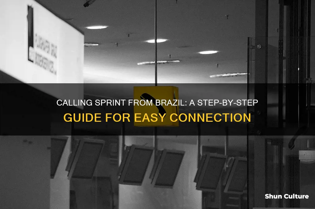 how to call us from brazil on sprint