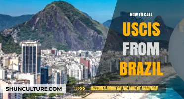 Contacting USCIS from Brazil: A Step-by-Step Guide for Expats