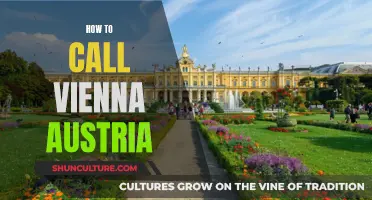 dialing Vienna: Tips for Calling Austria's Capital