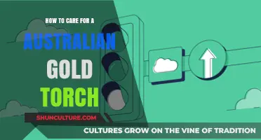 The Ultimate Guide to Nurturing Australian Gold Torch Corals
