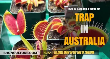 Venus Flytrap Care Guide for Australians