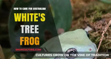 The Ultimate Guide to Caring for White's Tree Frogs