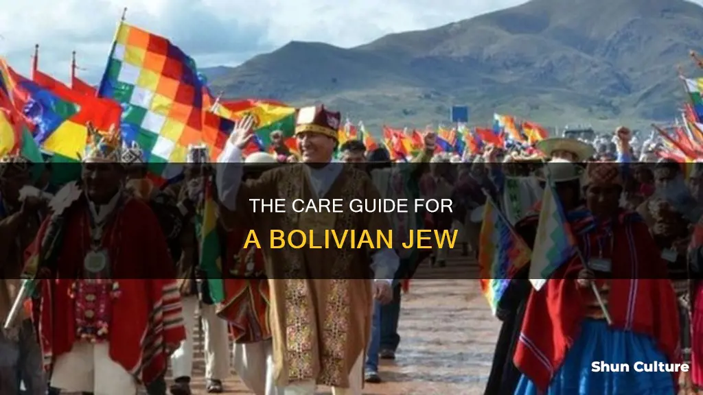 how to care for bolivian jew