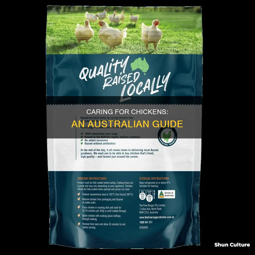 how to care for chickens australia