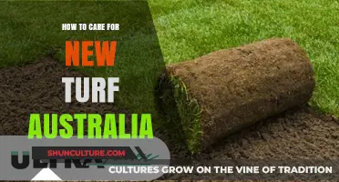 Caring for New Turf: Australia's Ultimate Guide