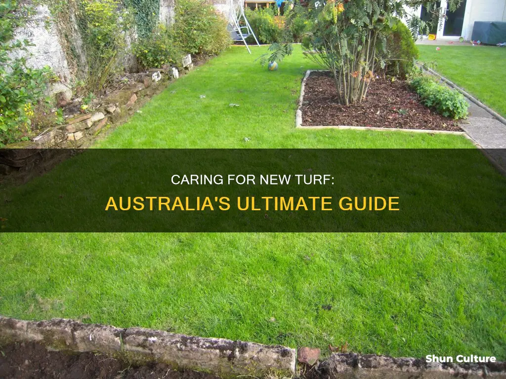 how to care for new turf australia
