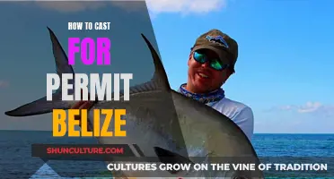 Casting for Permit in Belize: A Comprehensive Guide