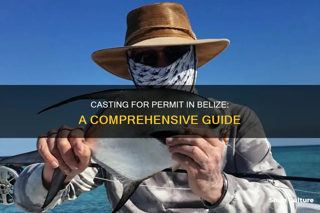 how to cast for permit belize