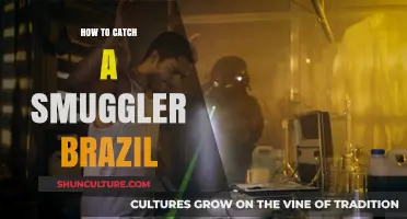 Uncovering Smuggling Tactics: Strategies to Catch Smugglers in Brazil