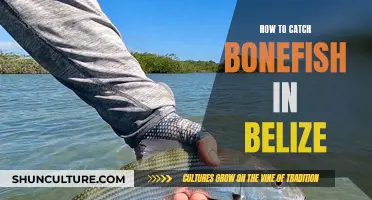 Belize's Bonefish Bounty: Unlocking the Secrets to a Successful Catch