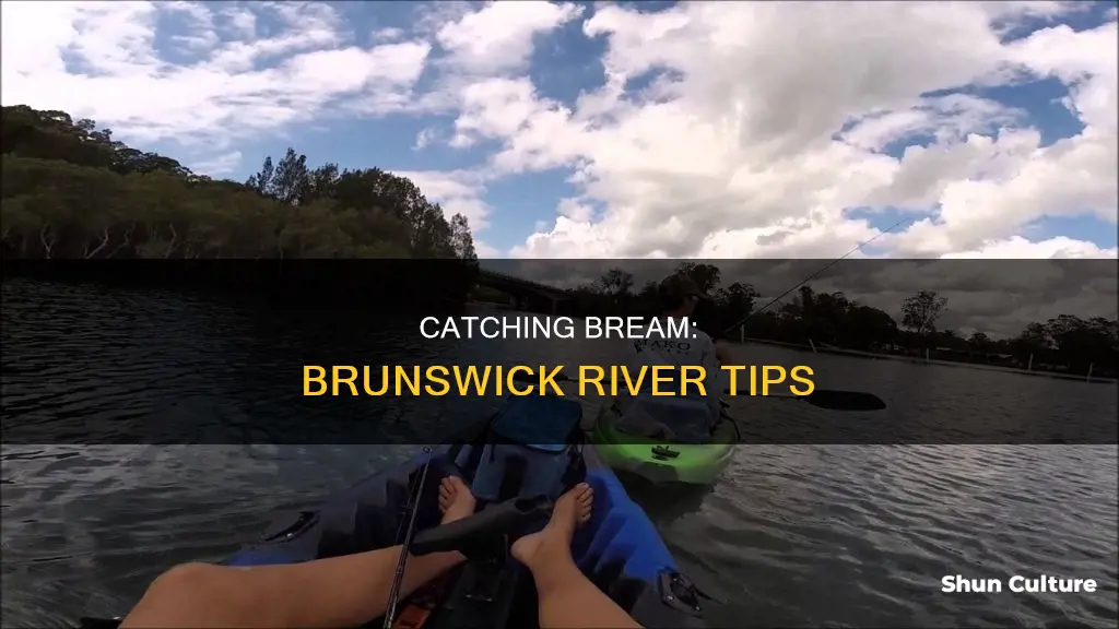 how to catch bream in brunswick river