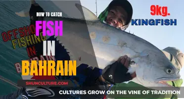 Catching Fish in Bahrain: Techniques and Tips for Beginners