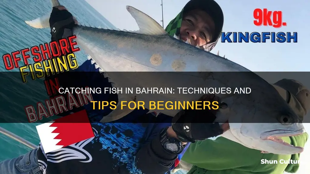 how to catch fish in bahrain