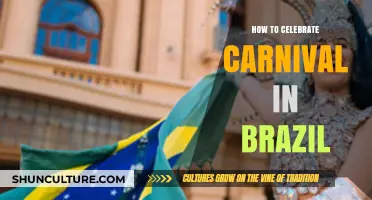 Experience Brazil's Carnival: Ultimate Guide to Celebrating in Style