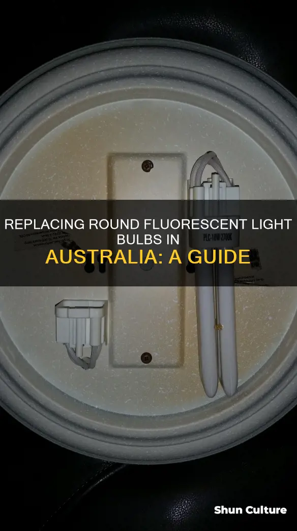 how to change a round fluorescent light bulb australia