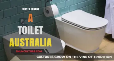 Toilet Replacement: A Step-by-Step Guide for Australians