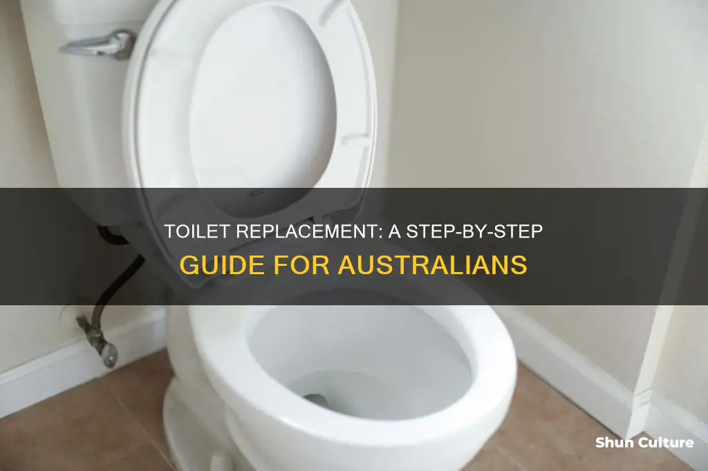 how to change a toilet australia