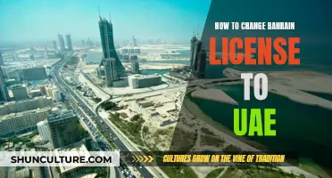 Switching Driving Licenses: Bahrain to UAE, Easy Steps