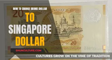 Exchanging Brunei to Singapore Dollars: A Quick Guide