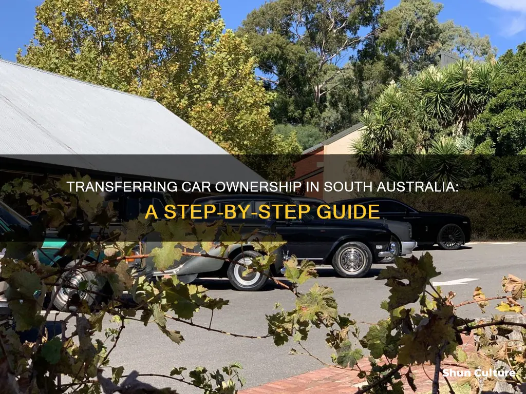 how to change ownership of a car in south australia