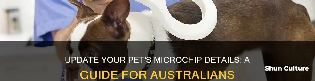 how to change pet microchip information australia