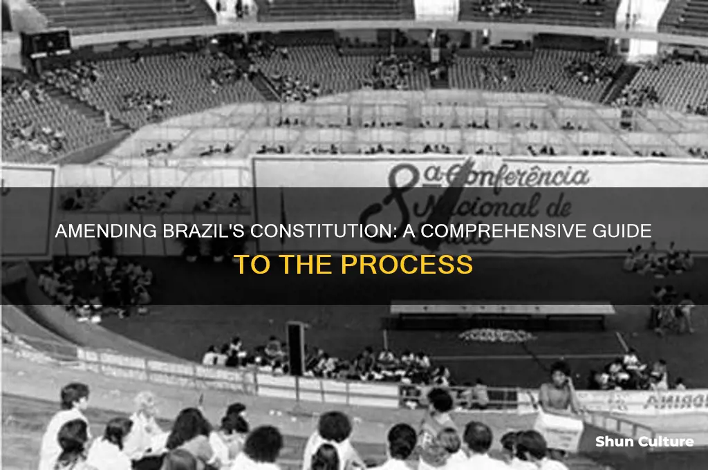 how to change the constitution in brazil