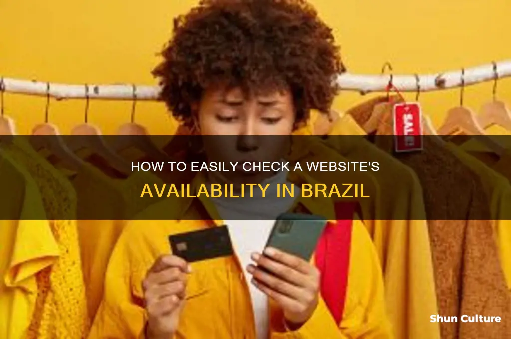 how to check a wbsite in brazil