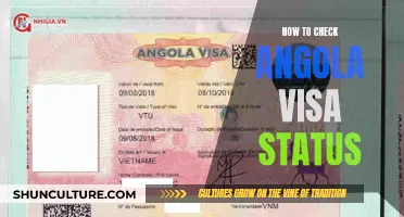 Check Your Angola Visa Status: A Step-by-Step Guide