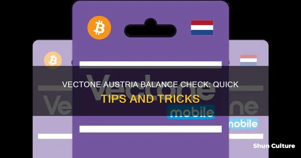 how to check balance in vectone austria