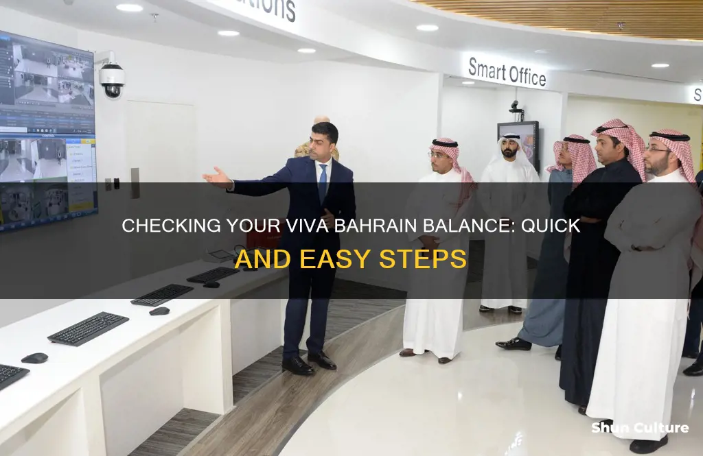 how to check balance in viva bahrain