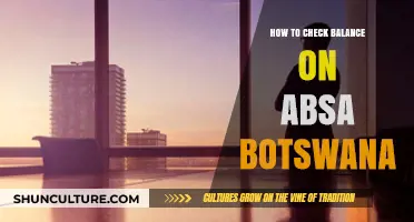 Easy Steps to Check Your Absa Botswana Account Balance