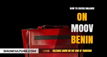 Easy Steps to Check Your Moov Benin Account Balance
