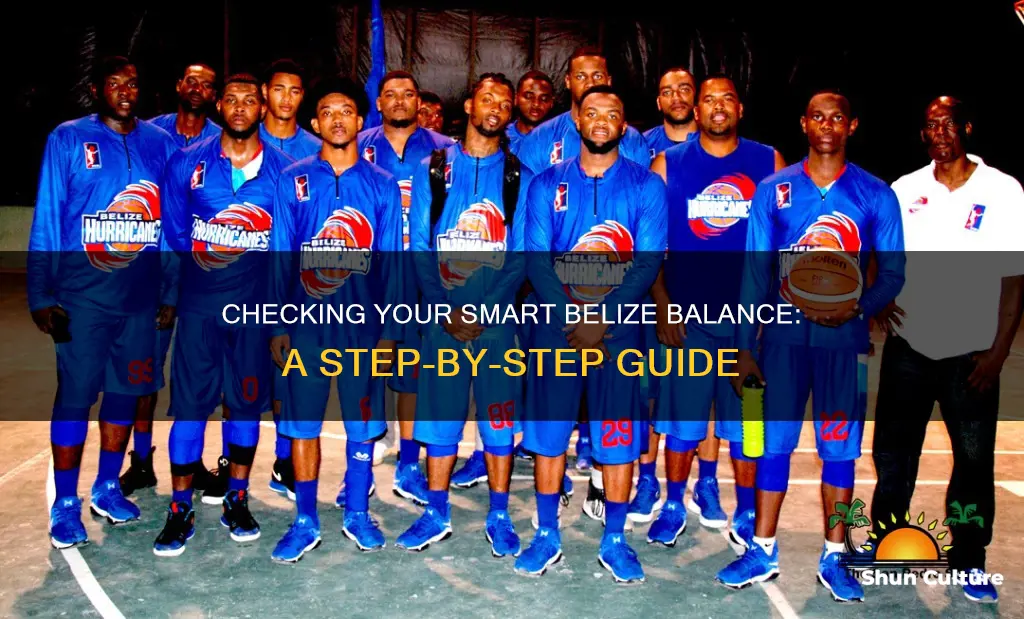 how to check balance on smart belize