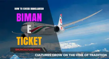 How to Easily Check Your Biman Bangladesh E-Ticket Online