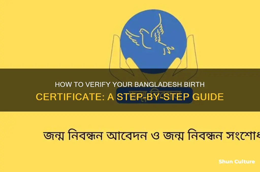 how to check bangladesh birth certificate