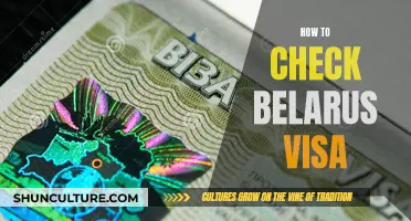 Belarus Visa: Simple Steps to Check Your Status