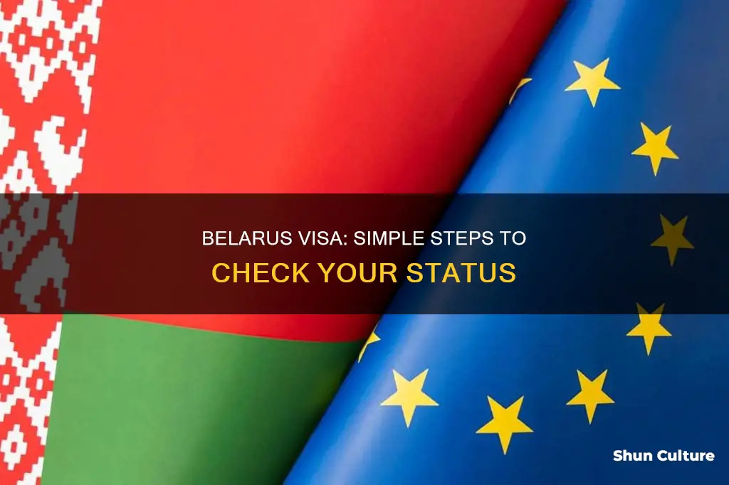 how to check belarus visa