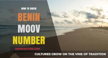 How to Check Your Benin Moov Number: A Simple Guide