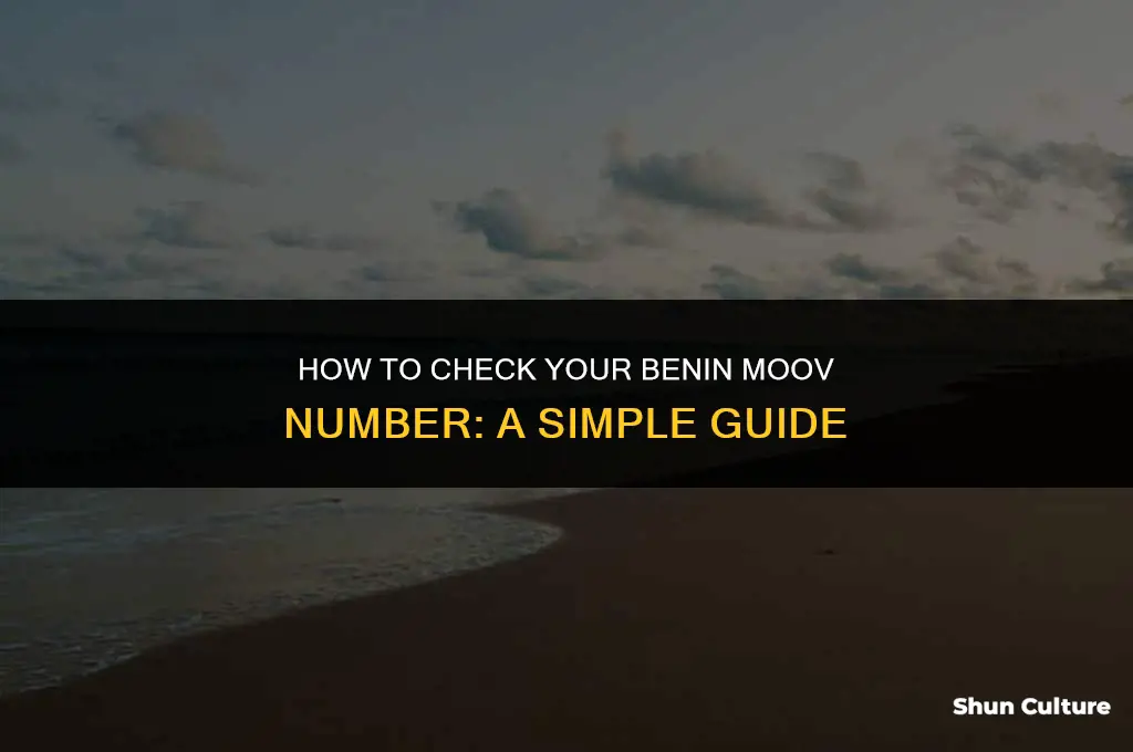 how to check benin moov number
