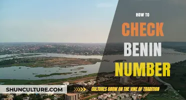 How to Verify Your Benin Phone Number: A Simple Guide