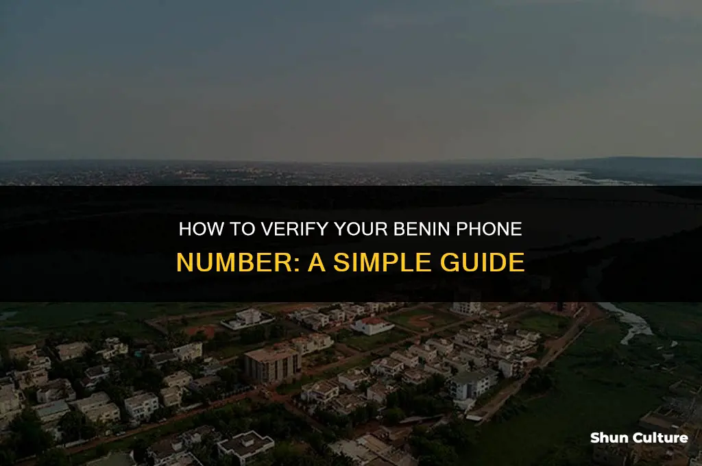how to check benin number