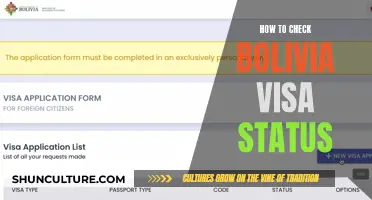 Bolivia Visa Status: Checking Your Application Progress