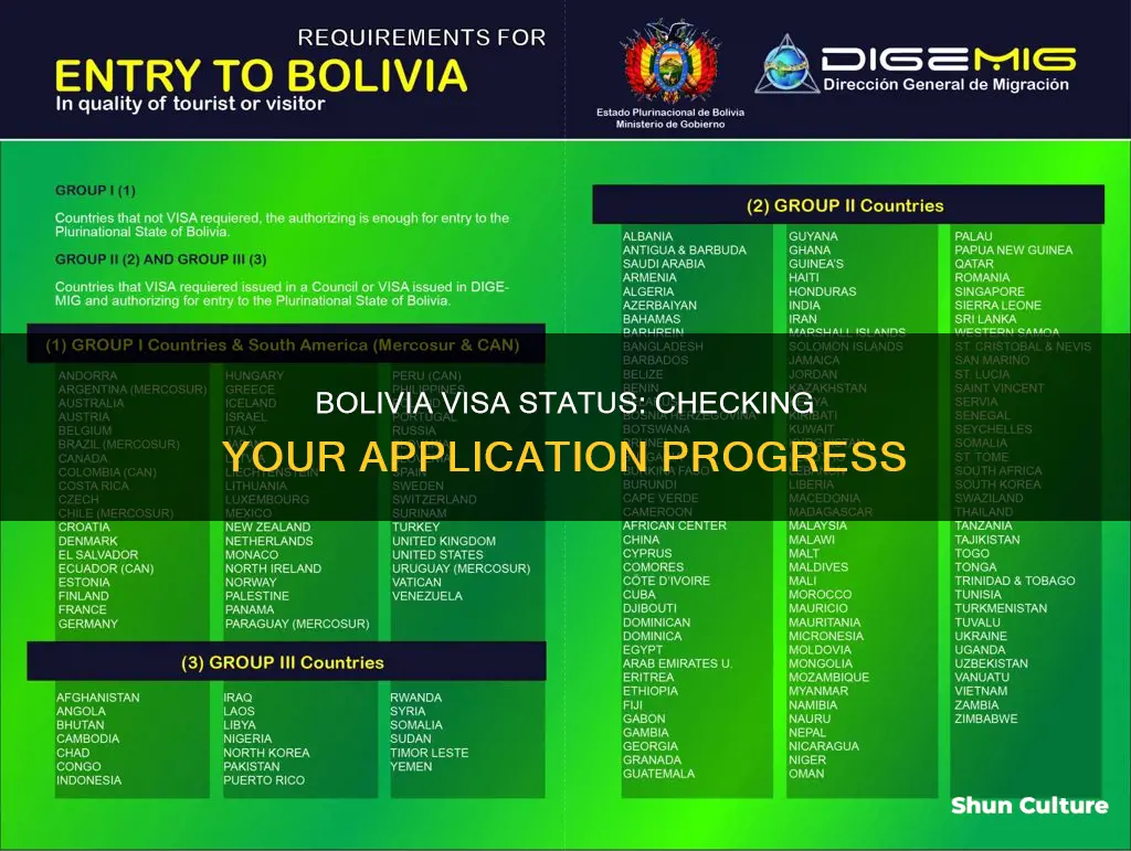 how to check bolivia visa status