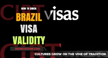 Verify Your Brazil Visa Validity: A Quick and Easy Guide