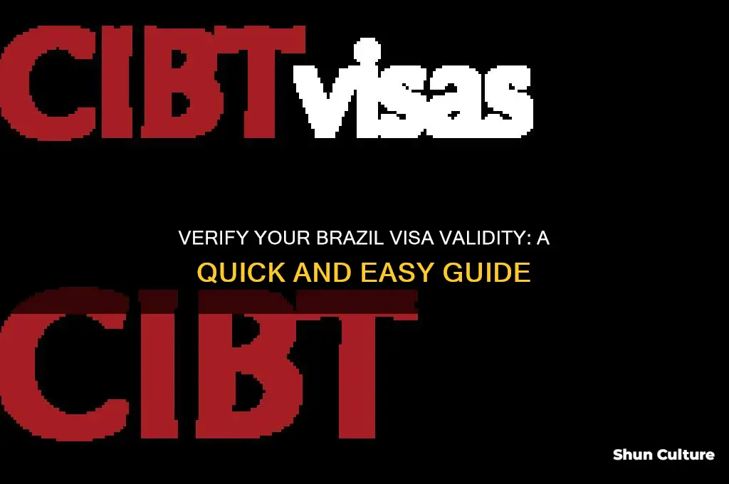 how to check brazil visa validity