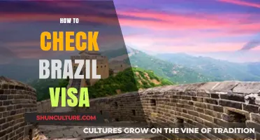 Step-by-Step Guide: How to Check Your Brazil Visa Status Easily