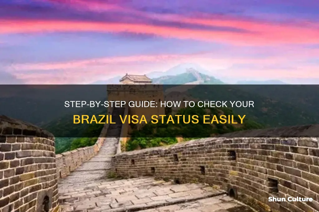 how to check brazil visa