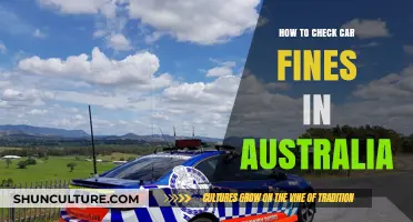 Car Fines: Check and Appeal in Australia