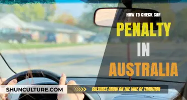 Car Penalty Checks: A Guide for Australian Drivers