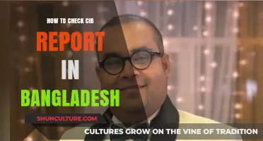 Easy Steps to Access Your CIB Report in Bangladesh